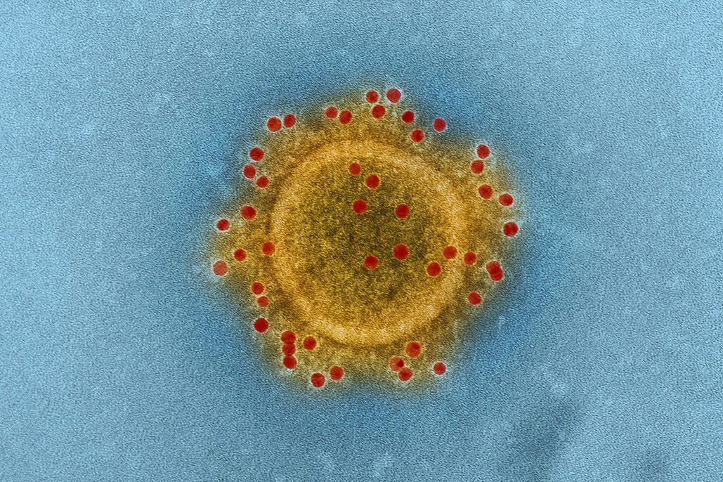 Novel coronavirus origins and wider impacts – Expert Reaction